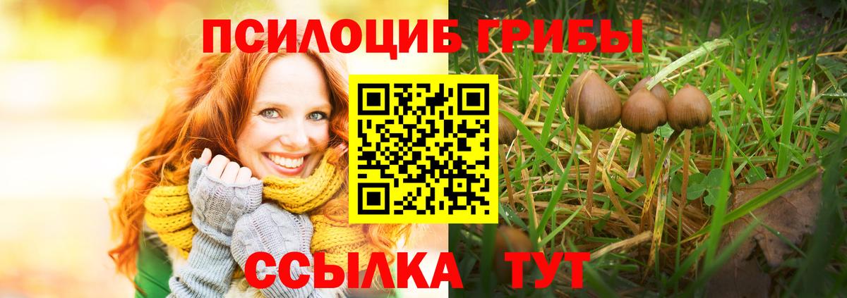 Псилоцибиновые грибы мухоморы  Вход с VPN  Павлово 