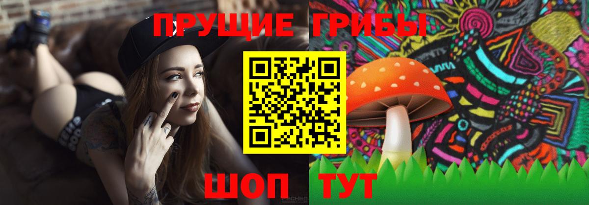 Галлюциногенные грибы Psilocybine cubensis Павлово